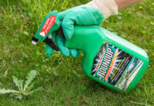 Hallan rastros de un herbicida relacionado con el cáncer en la mayoría de las muestras de orina de un estudio en EE.UU.