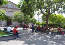 Más de 160 mil turistas nacionales y extranjeros se han atendido en Tampico