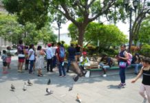 Casi 500 mil visitantes atendidos en vacaciones de verano en Tampico