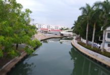 Preparan la Procesión Náutica de Día de Muertos en Tampico