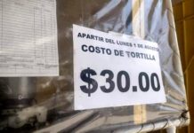Amanece Tamaulipas con aumento al precio de las tortillas 30 pesos el kilo
