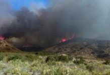 Bomberos acude a llamado de incendio en pastizal