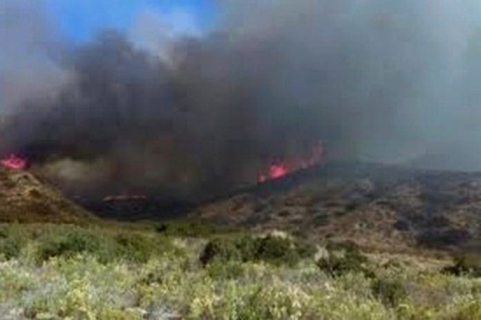 Bomberos acude a llamado de incendio en pastizal