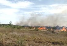 Bomberos sofocan incendio en pastizal