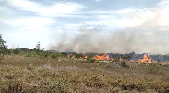 Bomberos sofocan incendio