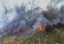 Bomberos sofocan incendio en pastizal