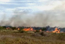 Bomberos sofocan incendio en pastizal