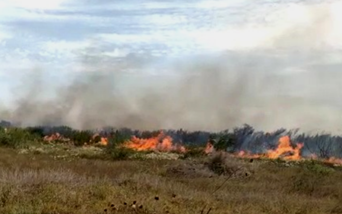 Bomberos sofocan incendio en pastizal
