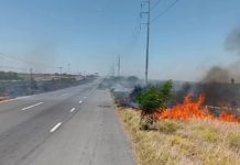 Bomberos sofocan pastizales y dejan daños materiales