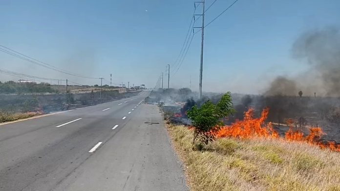 Bomberos sofocan pastizales