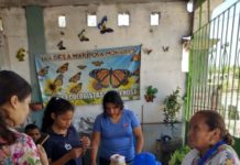 Impulsan cultura ecológica en niños
