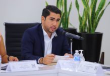 Pretende Congreso obligar a los 43 municipios a crear viveros