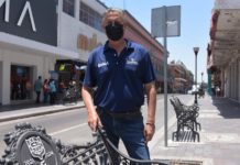 Se Suma IP, al Embellecimiento de Tampico
