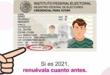 Perdieron vigencia 5,674 credenciales para votar con fotografía en el Distrito 08