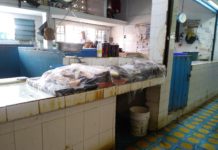 Locatarios de “La Puntilla” en espera de que los cambien al mercado Ávila Camacho