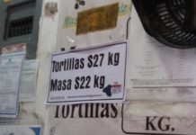 A partir de hoy subió 2 pesos el kilo de tortilla