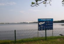 Implementan sobre vigilancia en el Carpintero y Chairel para evitar ataques de cocodrilos