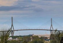“Haremos un bloque común para lograr reubicar la caseta del Puente Tampico”: Rosa González