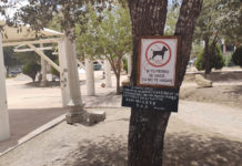 Exhortan a ciudadanos cuidas plazas públicas y espacios públicos