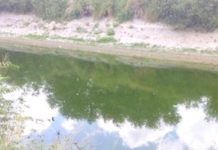 Sin reclamar cadáver encontrado sin vida en canal de aguas negras