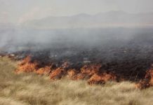 Sofocan incendio en pastizal dejo solo daños y contaminación