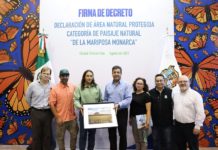 Crean en Tamaulipas primer área natural protegida para preservar la ruta migratoria de la Mariposa Monarca