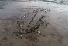 Identifican el origen de un barco hallado en las costas de Argentina que naufragó hace más de 150 años