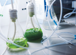 La biotecnología, más allá de la ciencia ficción