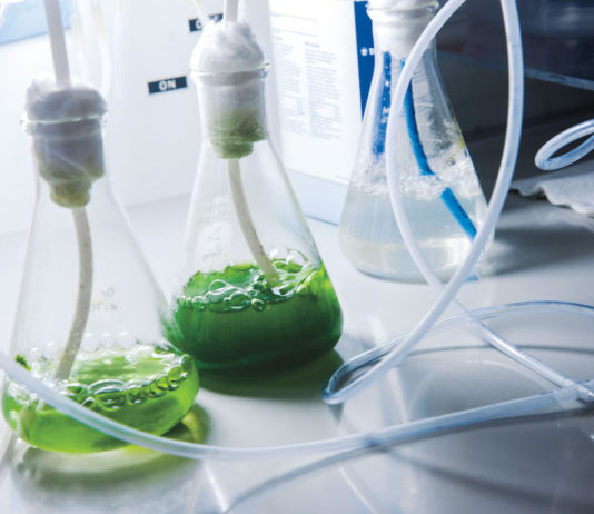 La biotecnología, más allá de la ciencia ficción