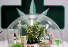¿Cannabis medicinal produce o estimula enfermedades cardiacas? Lo revela estudio