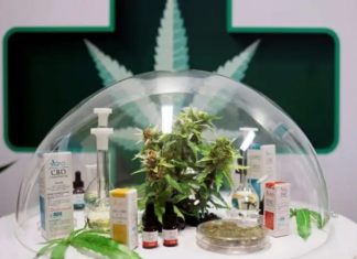 ¿Cannabis medicinal produce o estimula enfermedades cardiacas? Lo revela estudio