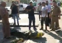 Determinará PROFEPA si se reubica a cocodrilo que atacó a hombre en la Laguna del Carpintero