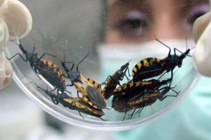 enfermedad de chagas