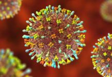 Henipavirus, nuevo virus encontrado en China