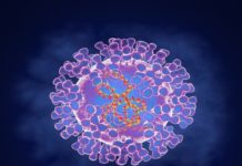 Cuidado: Sífilis, herpes o varicela pueden confundirse con viruela símica