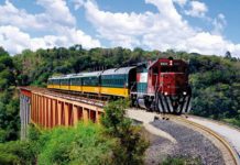 Diputado federal de Morena propone tren de pasajeros Matamoros-Palenque