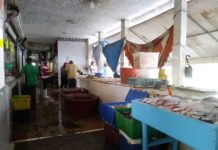 Locatarios de la Puntilla estarán en el Bordo de protección de la Cascajal