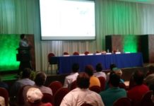 Concientizan al sector pesquero sobre el uso adecuado de los excluidores para proteger la tortuga marina