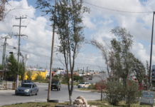 Áreas verdes reciben agua de lluvia