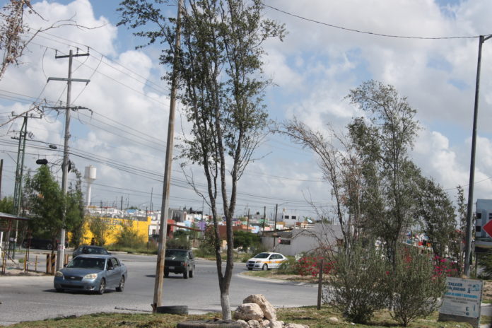 Areas Verdes.09052022