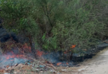 Bomberos siguen sofocando incendios en zacatales
