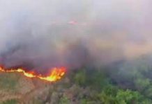 Bomberos sofocan incendio en poblado que dejó daños materiales