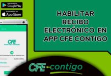CFE invita a cuidar el planeta, recibiendo recibo electrónico de consumo