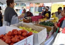 Consumo inteligente, antídoto contra la crisis