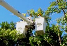 Cuadrillas de personal de CFE realizan mantenimiento de la red eléctrica