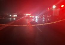 Otra víctima más de atropellamiento en carretera a Río Bravo a Reynosa