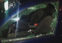 Rateros ocasionan daños y roban en unidad