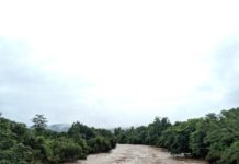 Se desbordan ríos y arroyos de Hidalgo, Padilla y Santa Engracia