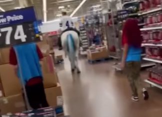 ¡Dime vaquero! Hombre entra a supermercado montado en caballo
