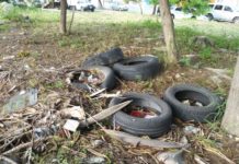 Buscan instalar una planta tratadora de llantas